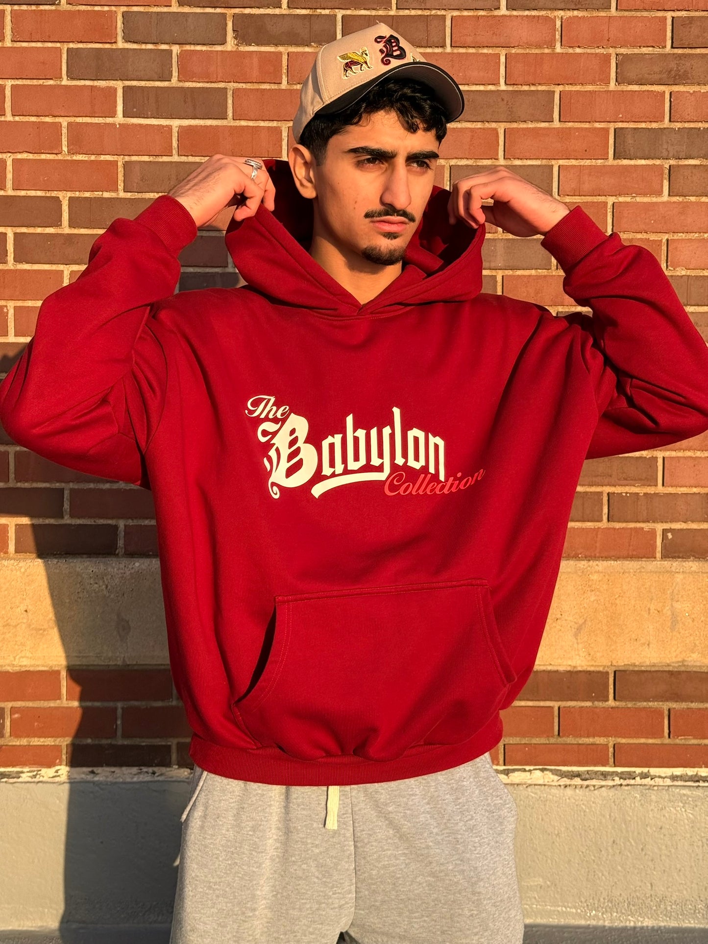 DEN OF LIONS HOODIE