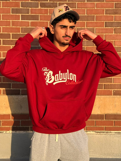 DEN OF LIONS HOODIE